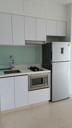 Eight Riversuites (D12), Condominium #114111232
